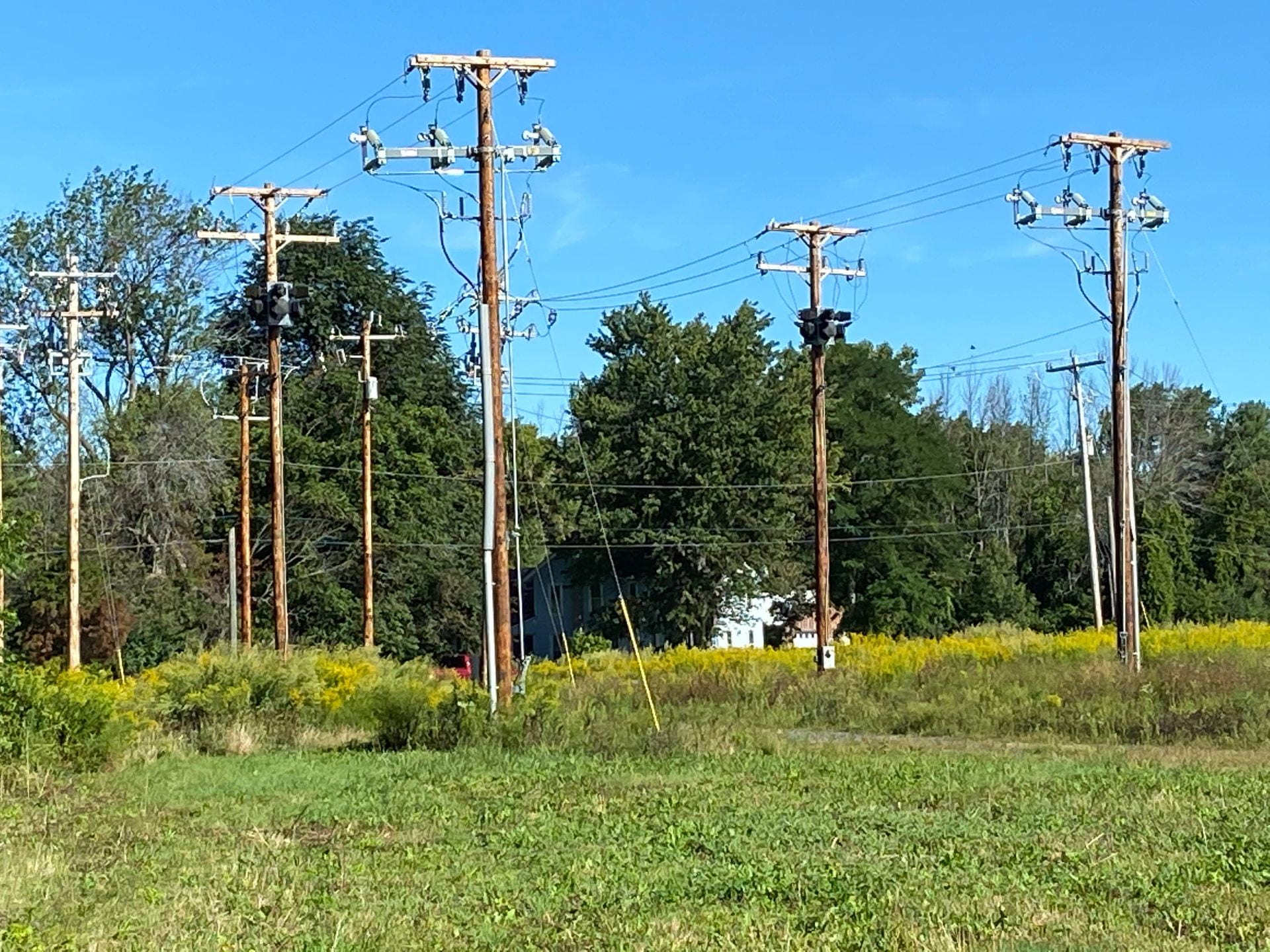 Roadside electric poles. Credit: Penn State MCOR