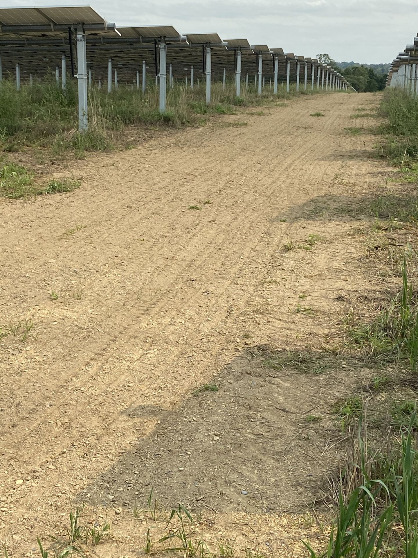 This access road has been planted with grass. Credit: Penn State MCOR