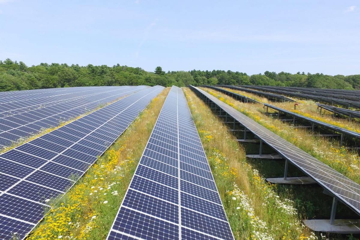 This solar farm was built on top of a landfill located in Rehoboth, MA. The landfill had not been used for decades and now provides clean renewable energy to customers nearby. Credit: Lucas Faria, U.S. Department of Energy, https://www.energy.gov/eere/solar/large-scale-solar-siting